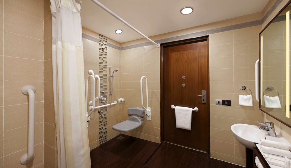 Hilton Garden Inn New Delhi Saket 19/66