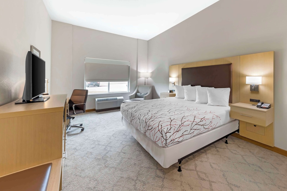 Standard, King Bed, Accessible