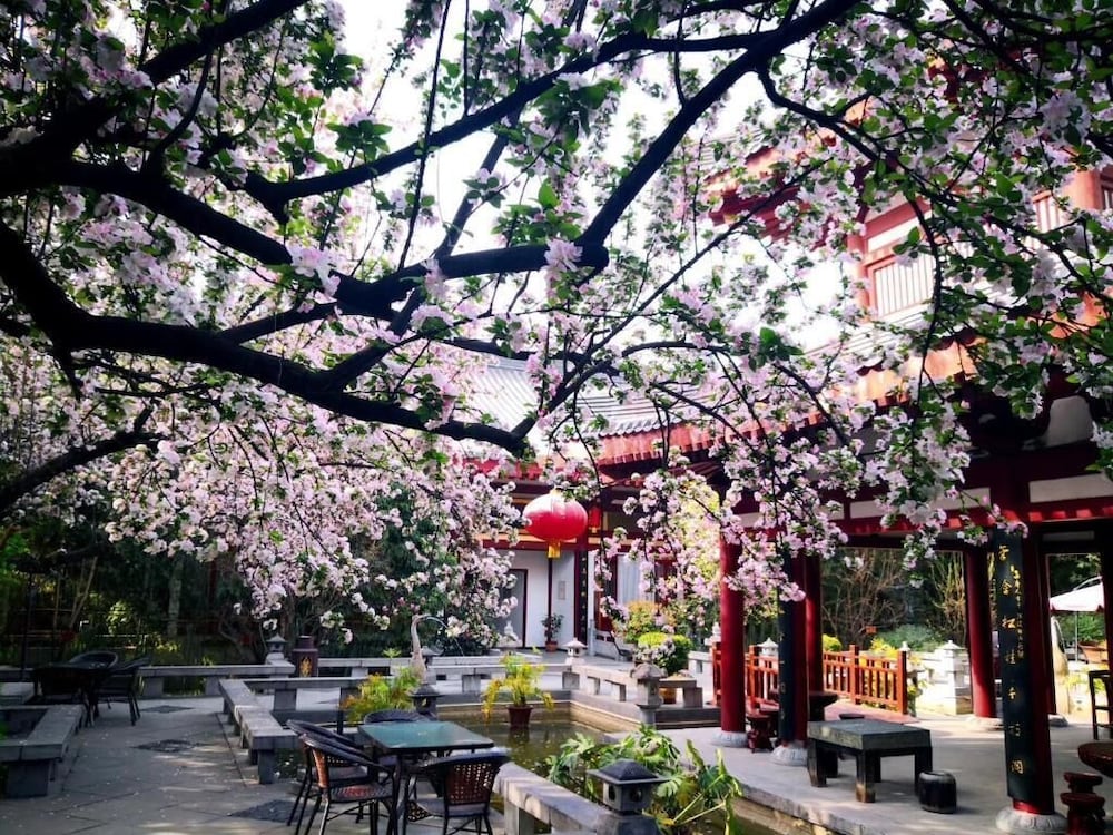 Tang Dynasty Art Garden Hotel 44/49