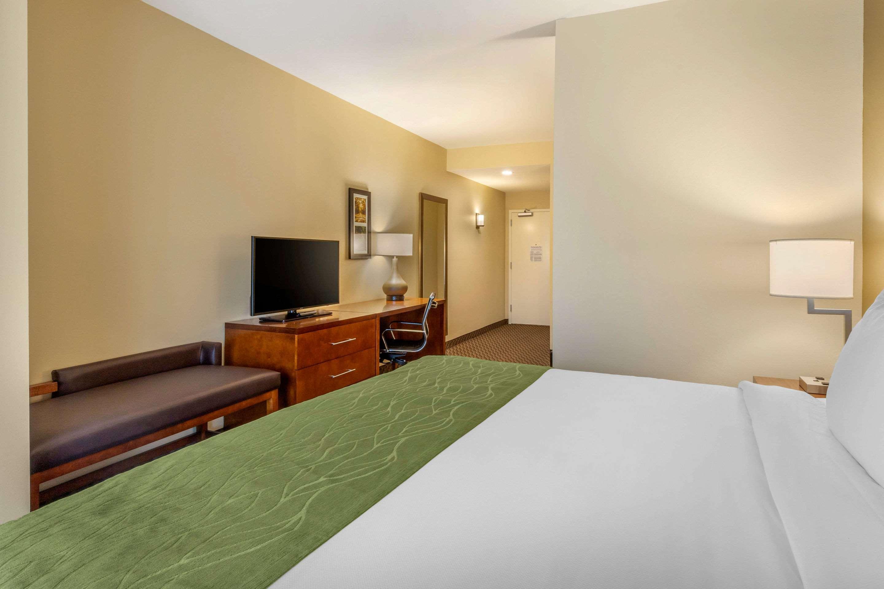 SUITE, KING BED