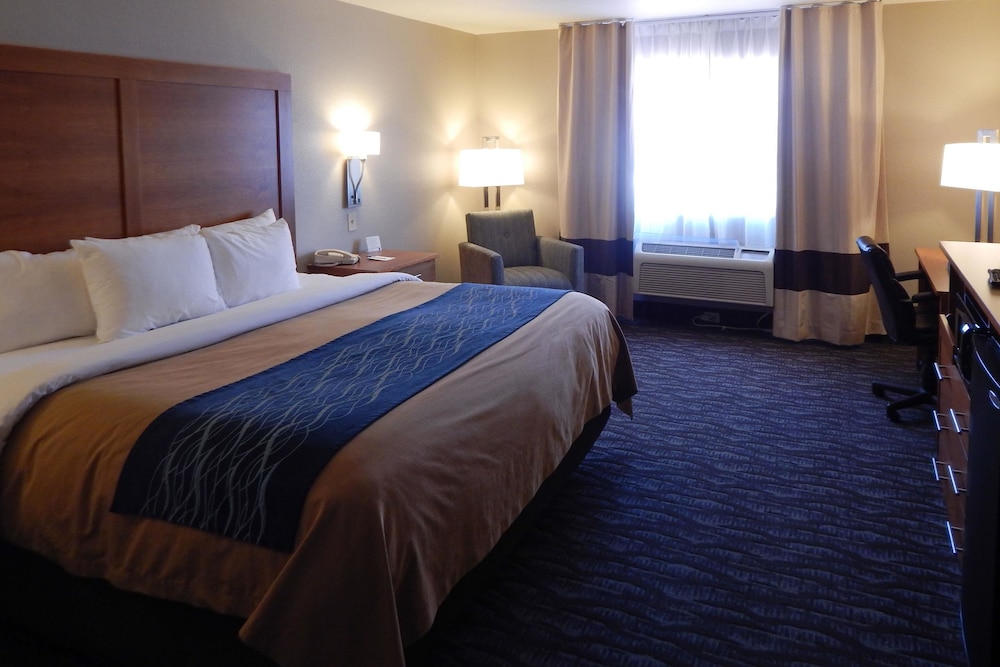 Comfort Inn & Suites Las Cruces Mesilla 18/54