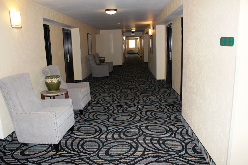 Quality Inn and Suites Airport West 24/57