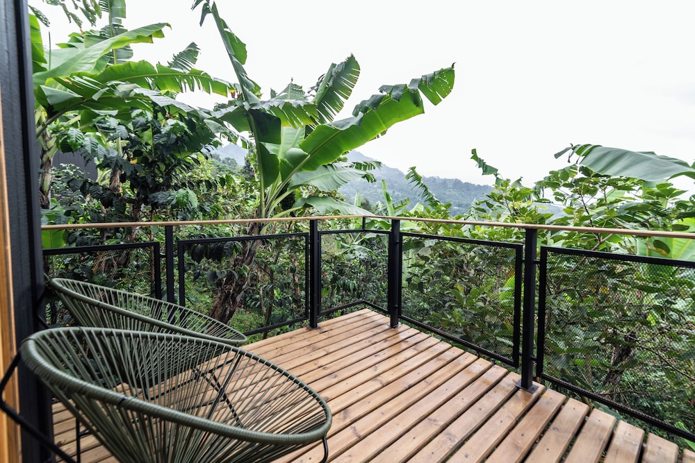 Hotel La Palma y El Tucan 45/50