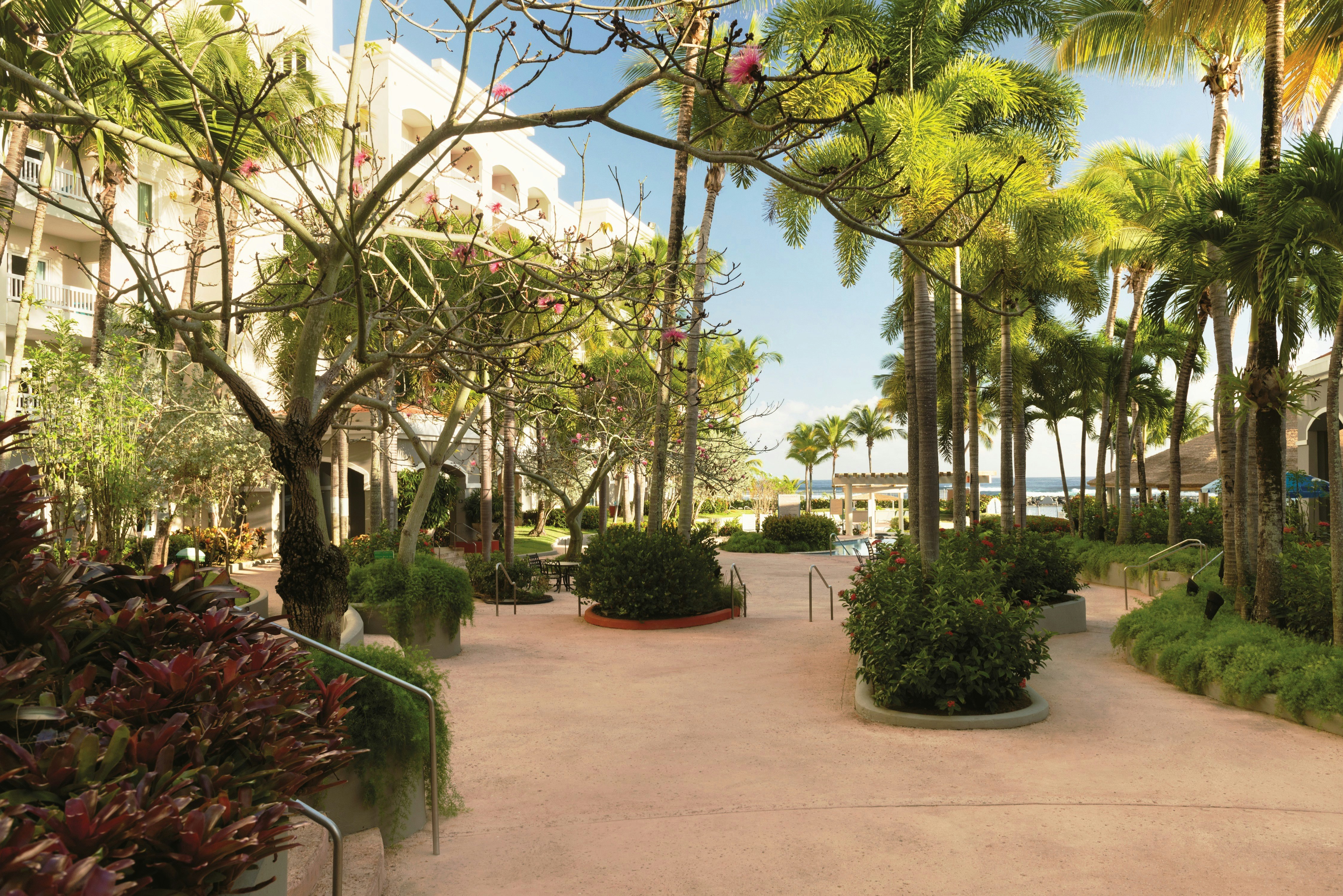 Embassy Suites By Hilton Dorado Del Mar Beach Resort 80/81