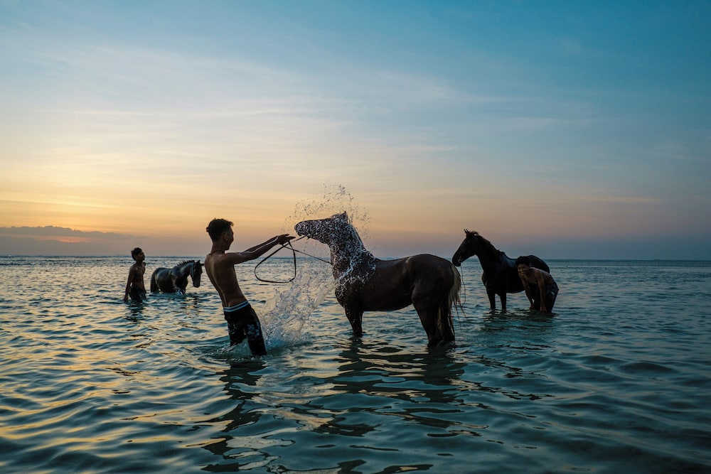 Lumiere Hotel Gili Trawangan 36/46