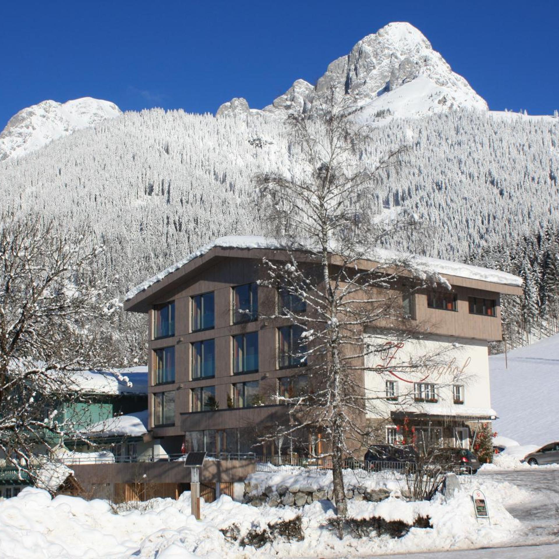 Zistelberghof 4/50