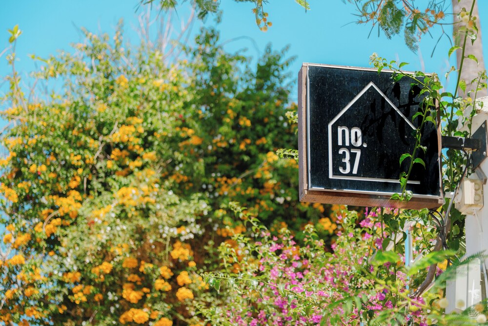 Hotel No37 39/47