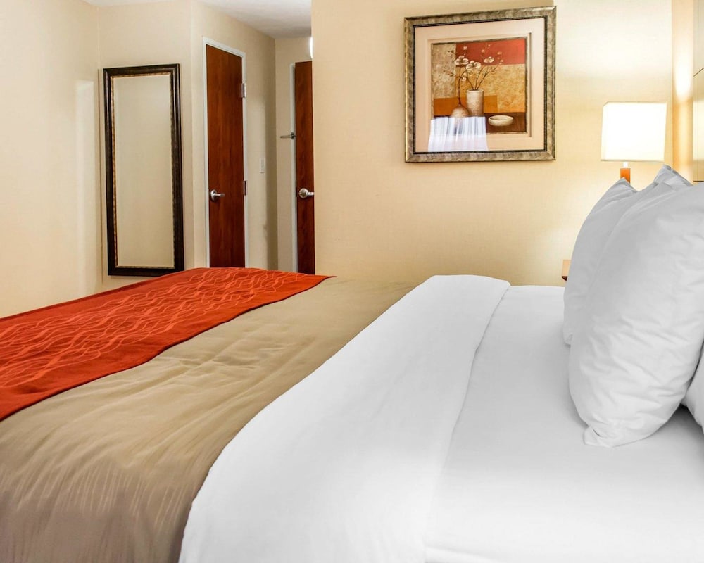 Comfort Inn & Suites Franklin East 24/47