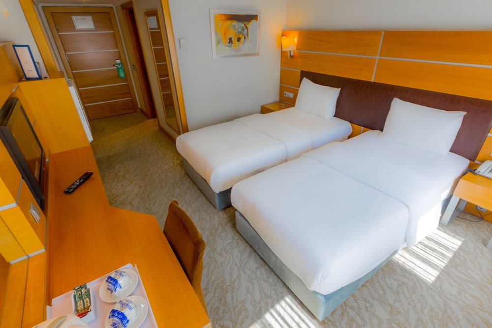 Ankara Plaza Hotel 27/66