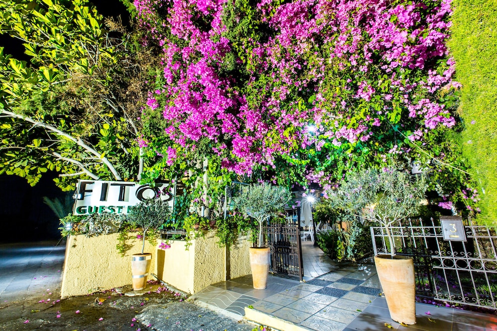 Fitos Inn Guest House 39/50