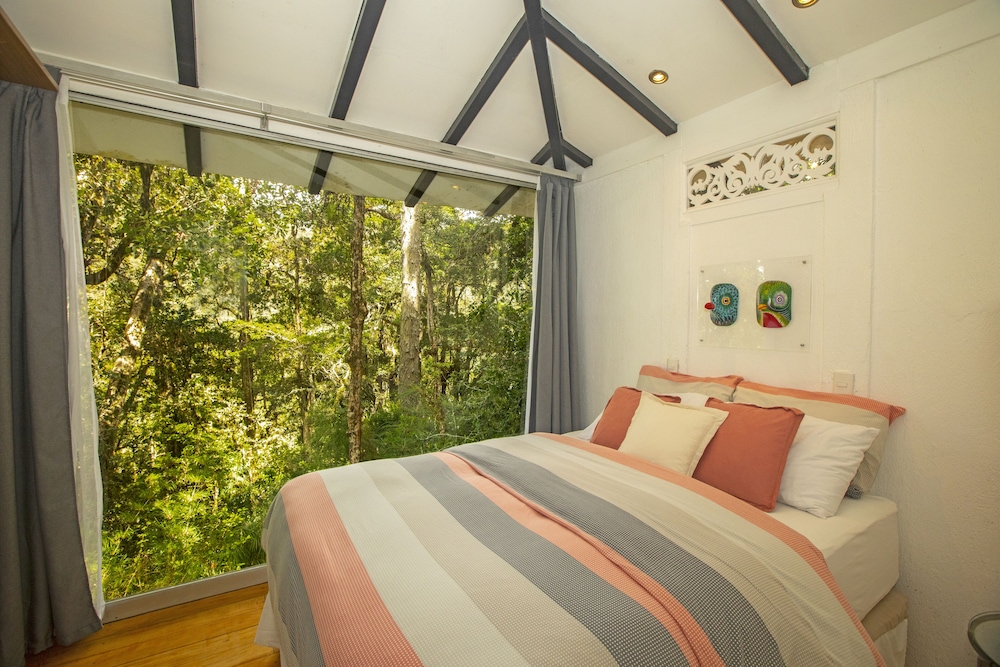 Dantica Cloud Forest Lodge 12/50
