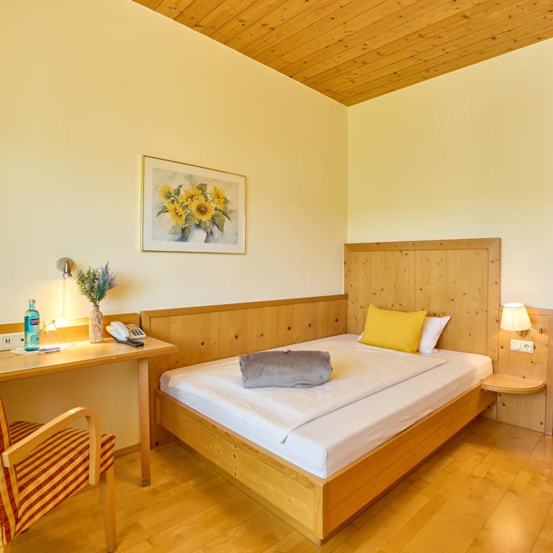 Airport-Hotel Fortuna 20/58