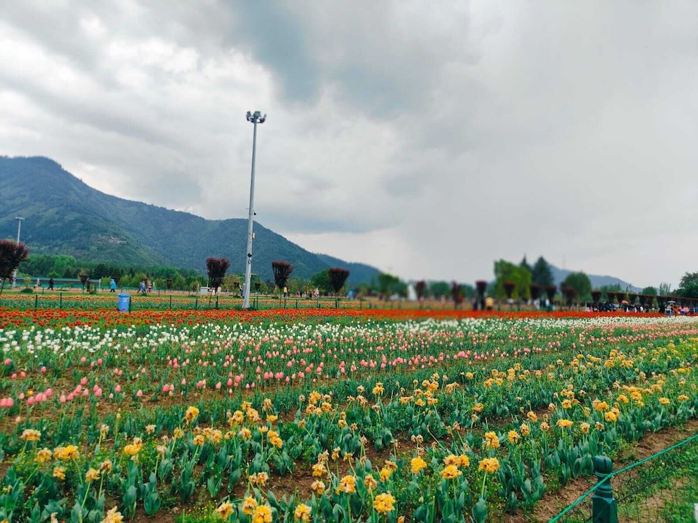 Ramada Encore by Wyndham Rajbagh Srinagar 59/64