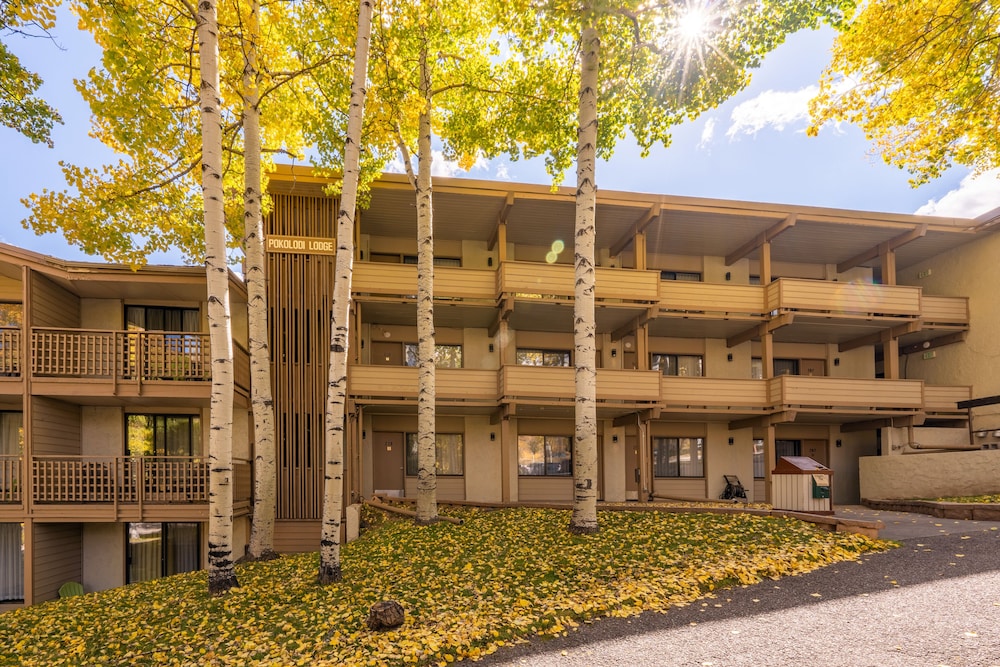 Pokolodi Lodge 2/38