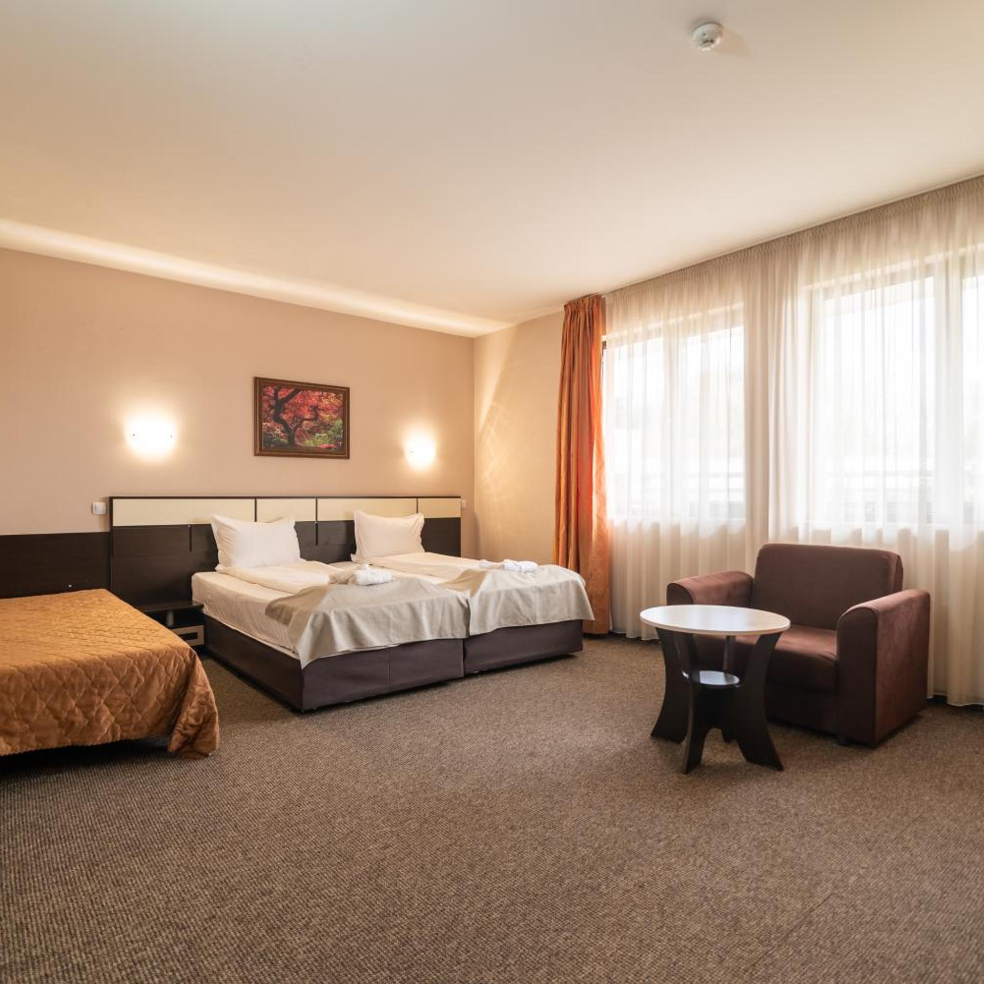 Standard, Double or Twin Bed, No Balcony