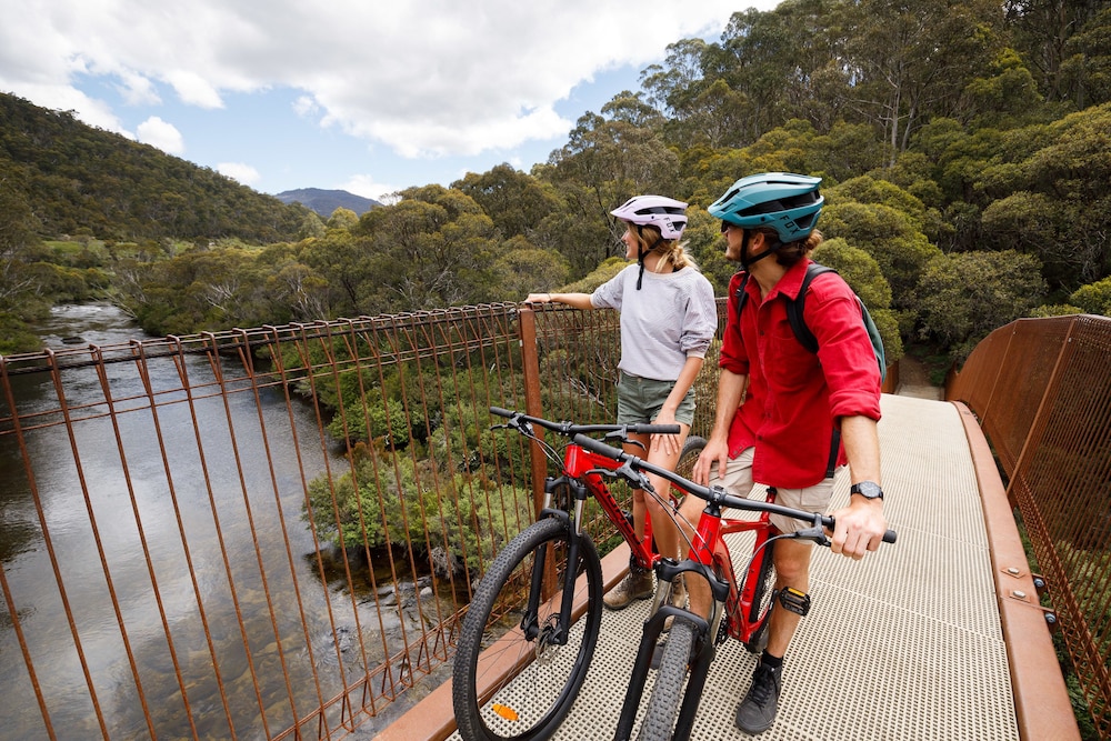 THREDBO ALPINE HOTEL 27/74