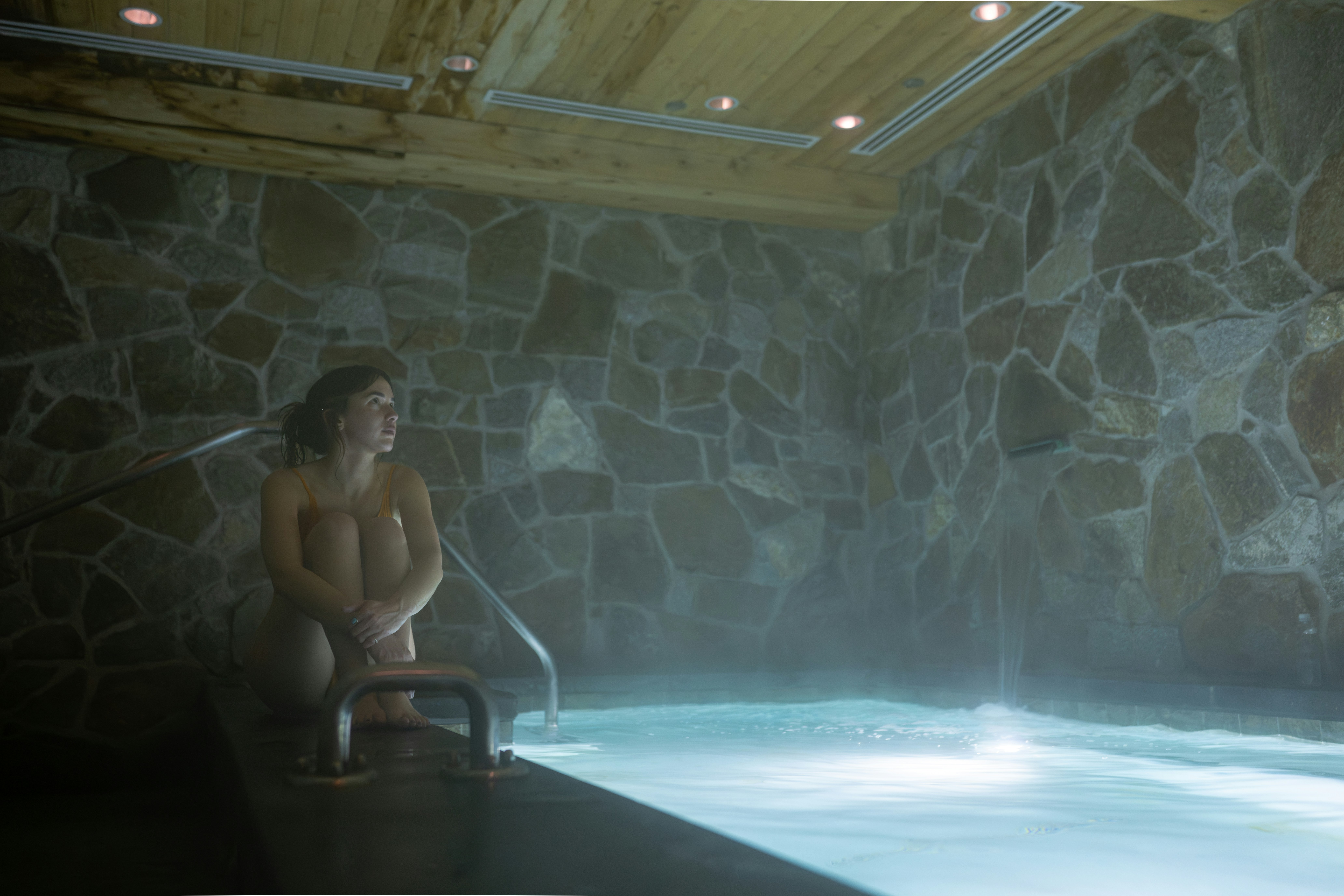 The Snowpine Lodge 23/50