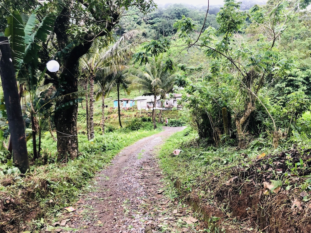 Bintana Sa Paraiso Binunsaran 48/50