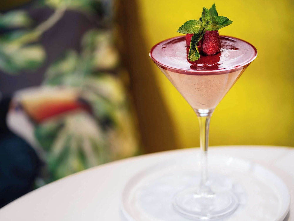 Novotel Paris Coeur D Orly Airport 25/72