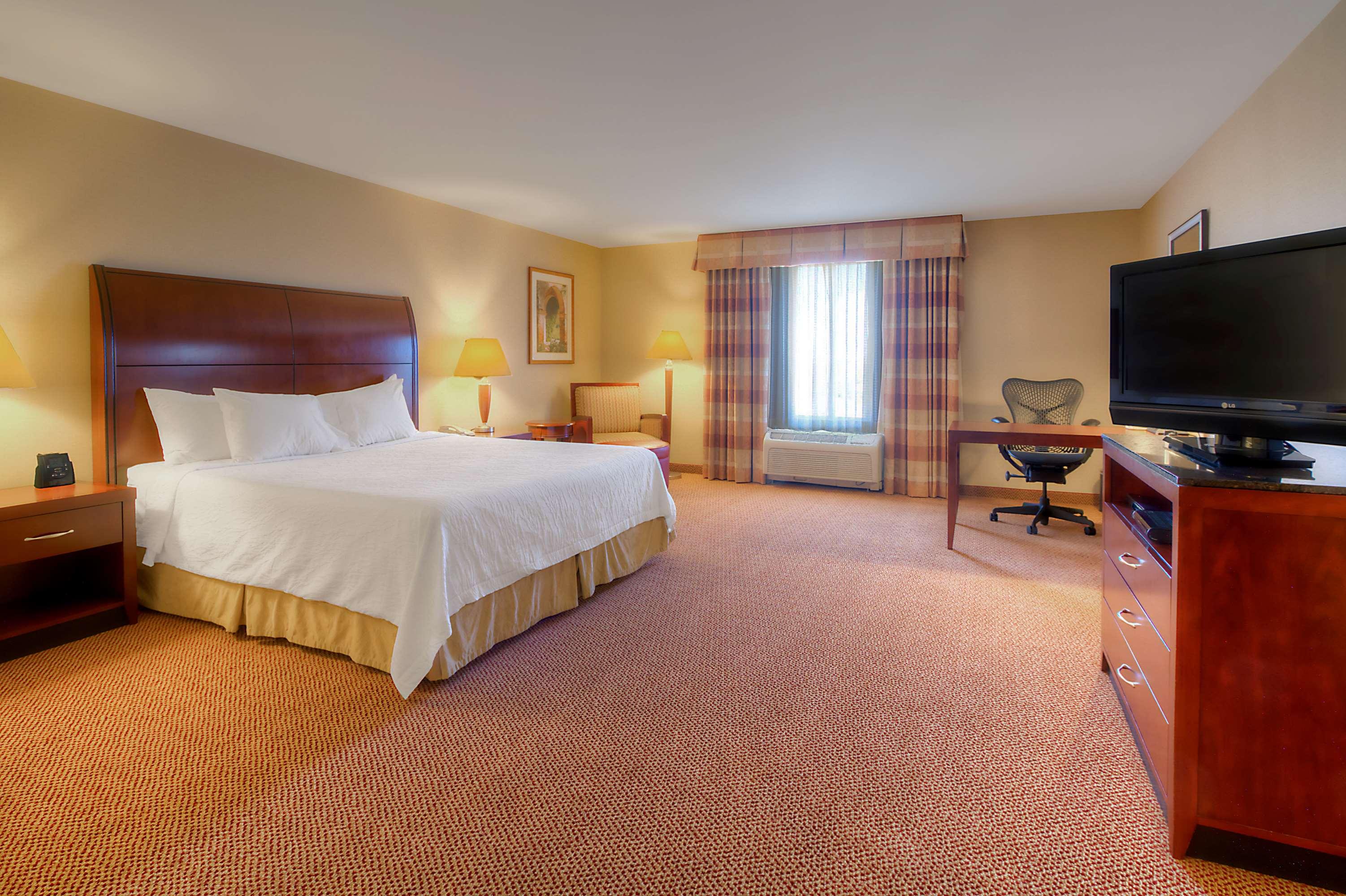 Suite, King Bed