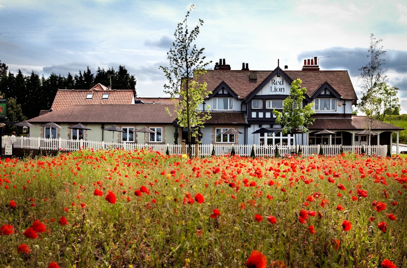 The Red Lion 41/46