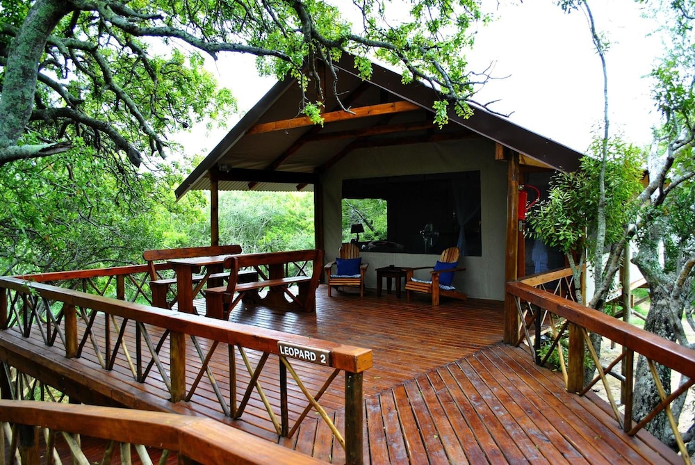 Lion Tree Top Lodge 5/36
