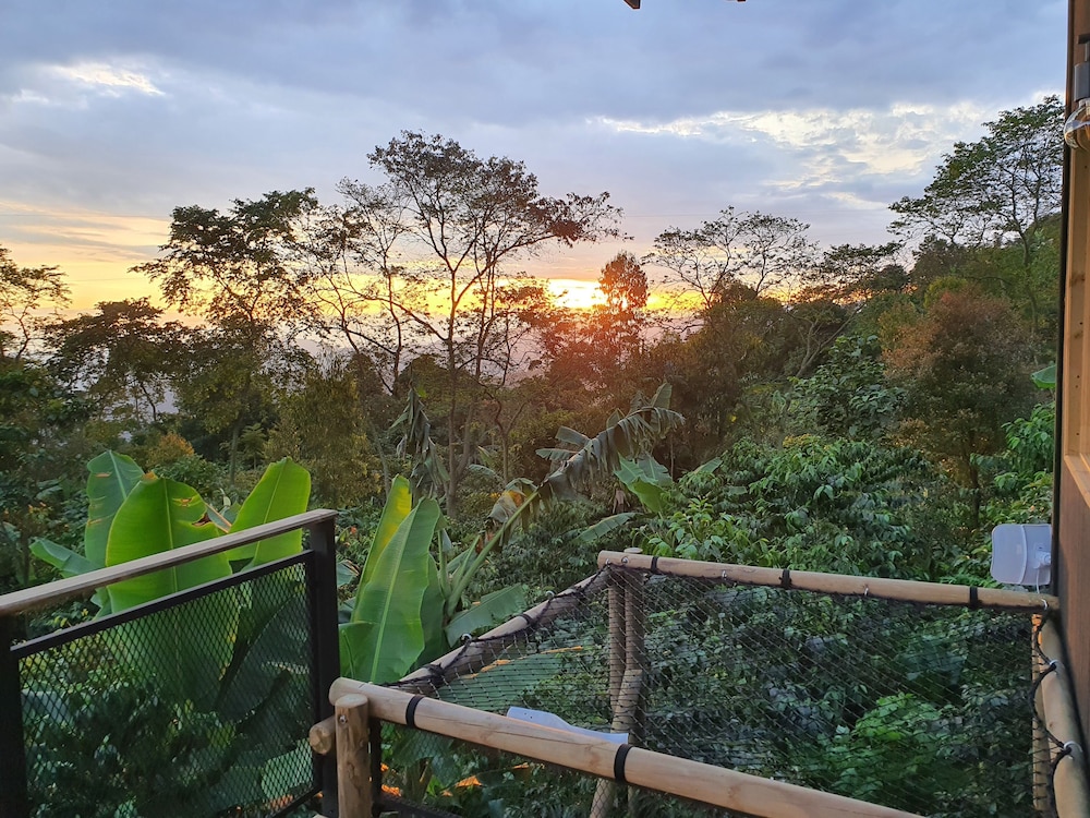 Hotel La Palma y El Tucan 19/50