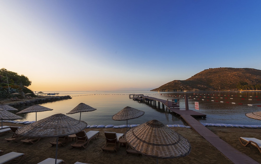 LIV HOTEL BY BELLAZURE photo5