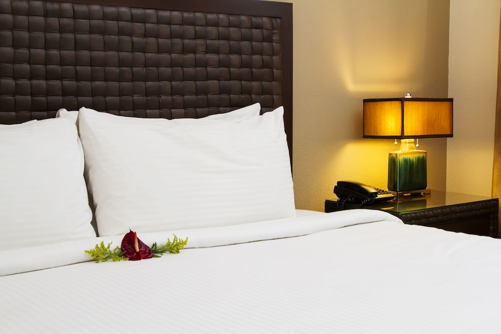 Rincon Del Valle Hotel Suites 17/74