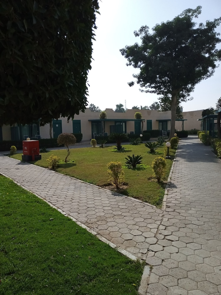 Cairo Pyramids Hotel 40/50