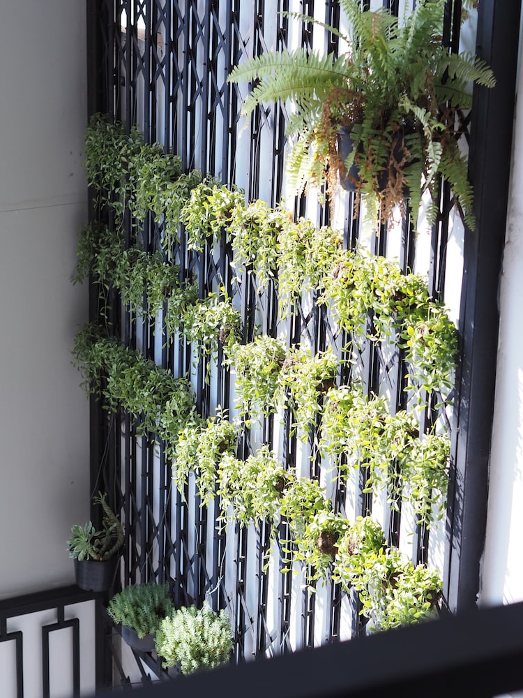 Bloom Boutique Hotel And Cafe 4/34