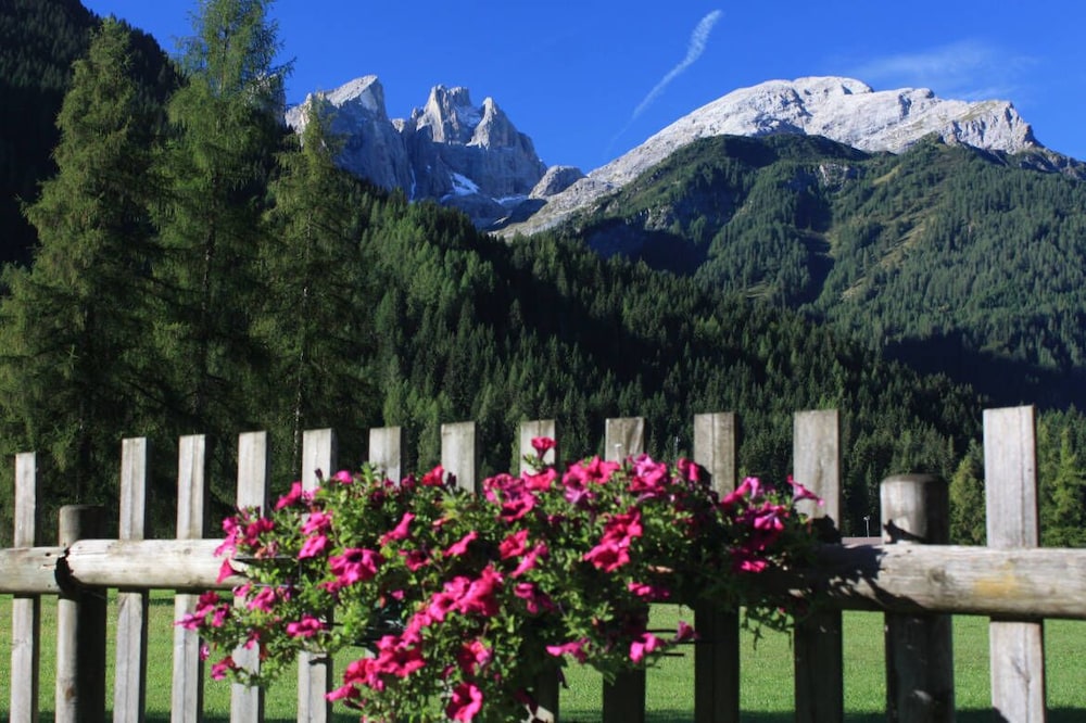 Hotel Stella Alpina 33/39