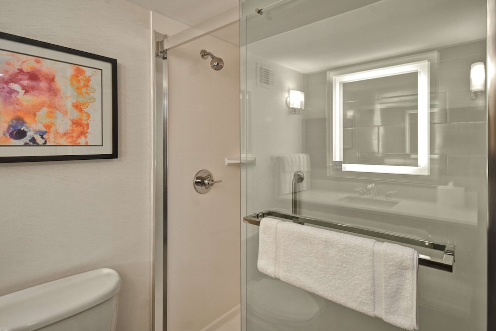 Hilton Garden Inn Detroit Metro Airport 17/45