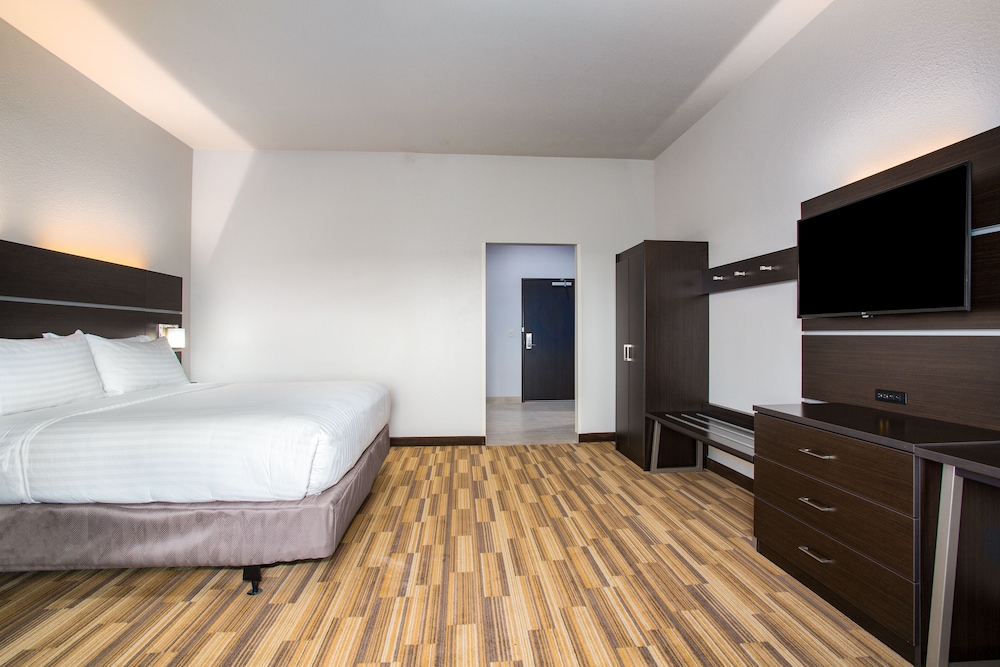 HOLIDAY INN EXPRESS & SUITES RAPID CITY - RUSHMORE SOUTH 18/50