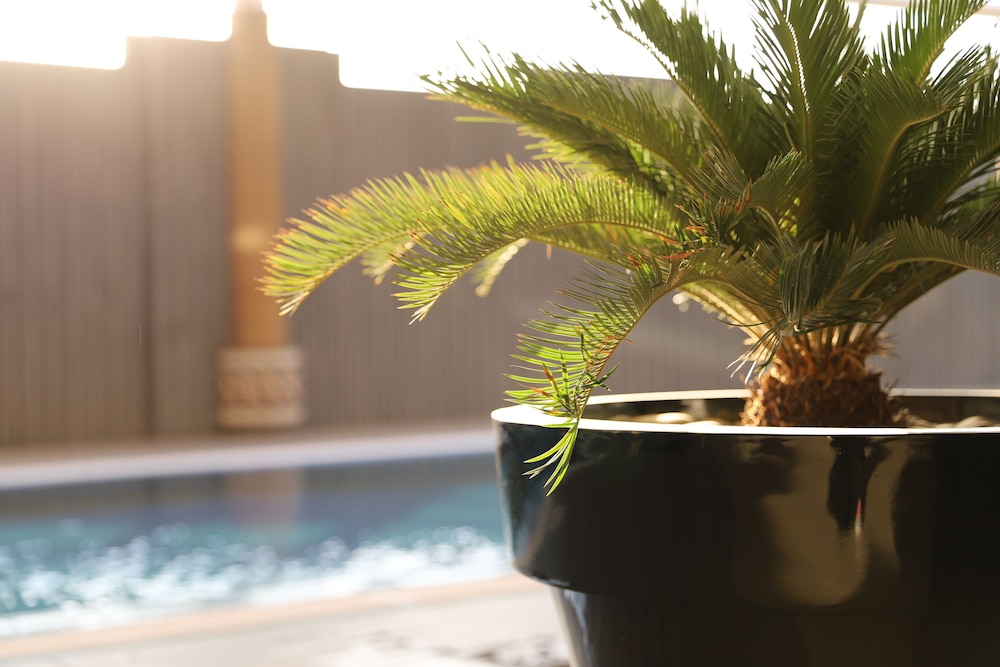 فندق مكان (Somewhere Bliss Hotel Al Ahsa) 14/15