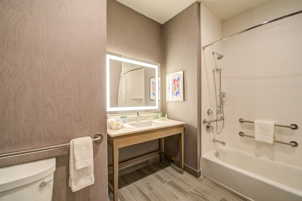 Holiday Inn Hotel Suites Houston West Katy Mills 10/54
