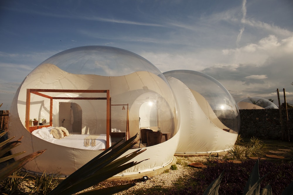 Green Land Bubble Glamping 51/60