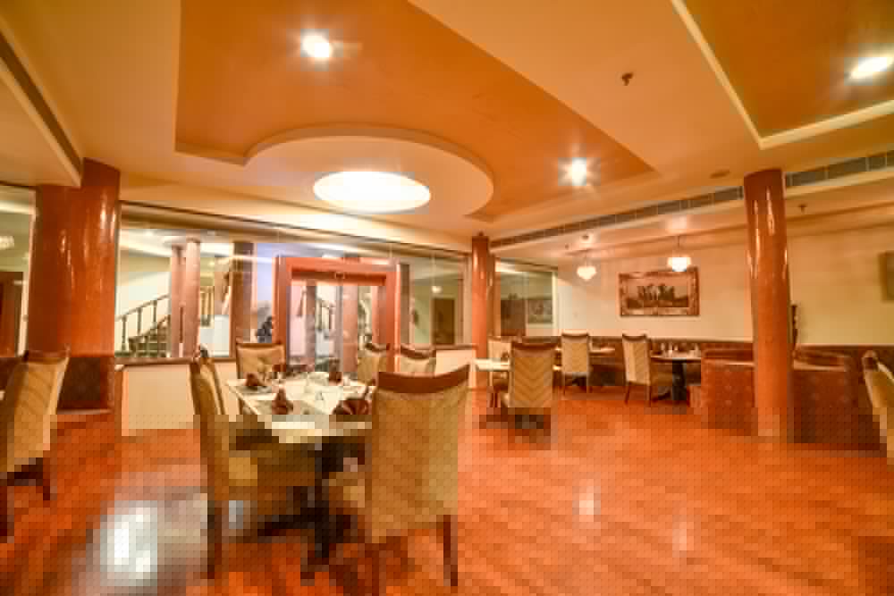 Chokhi Dhani the Palace Hotel 51/74