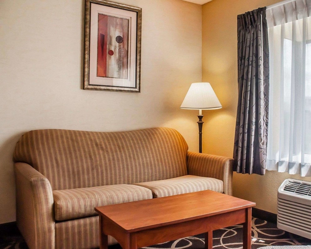 Quality Hotel & Suites At The Falls 39/51