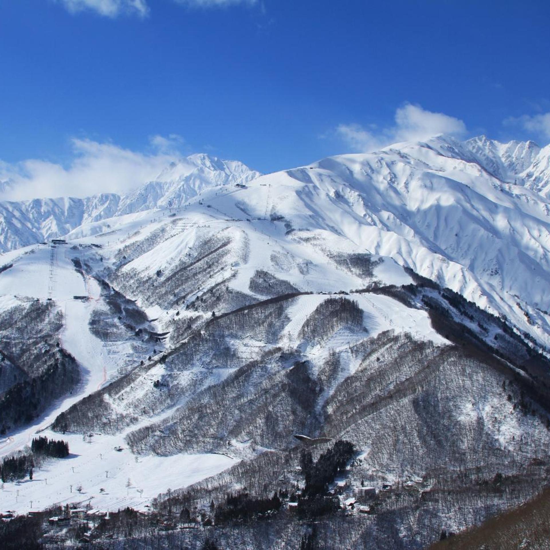 Hotel Hakuba 50/50