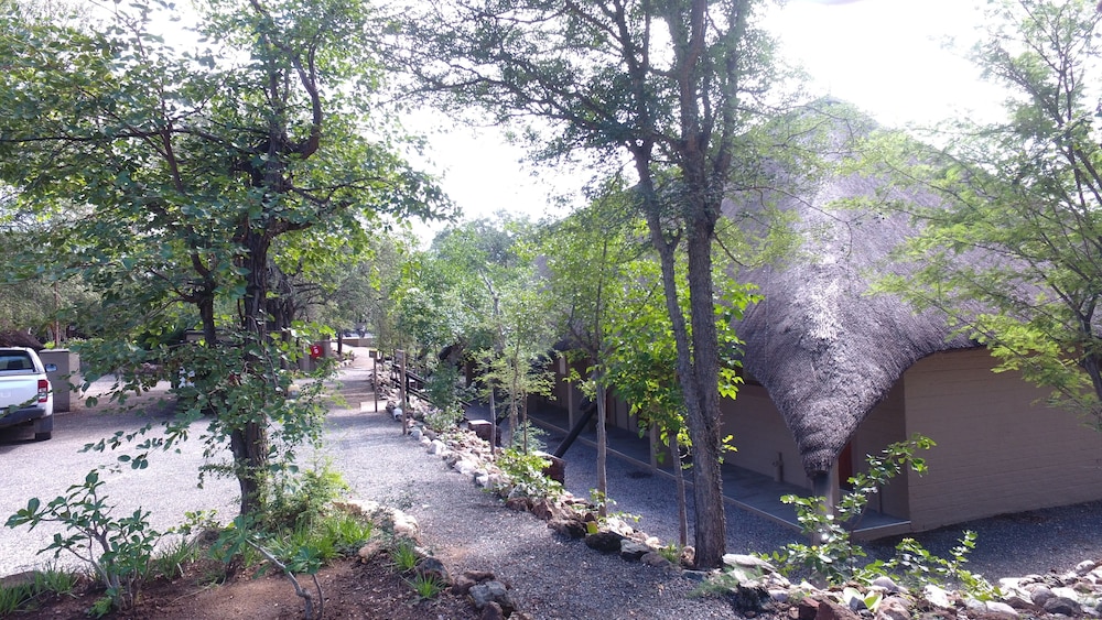 Balule Bushveld Safari Lodge 31/38