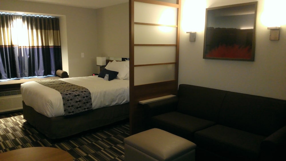 Microtel Inn And Suites By Wyndham Binghamton 14/34