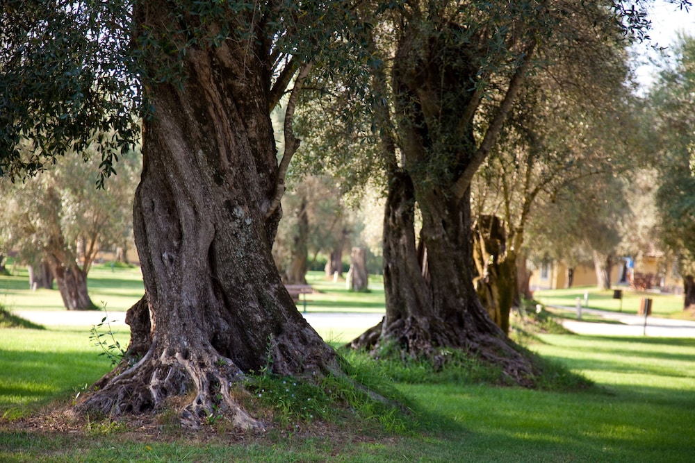 Uliveto Principessa Park Hotel 27/50