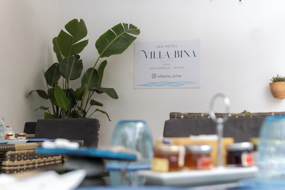 Hotel Villa Bina 10/66
