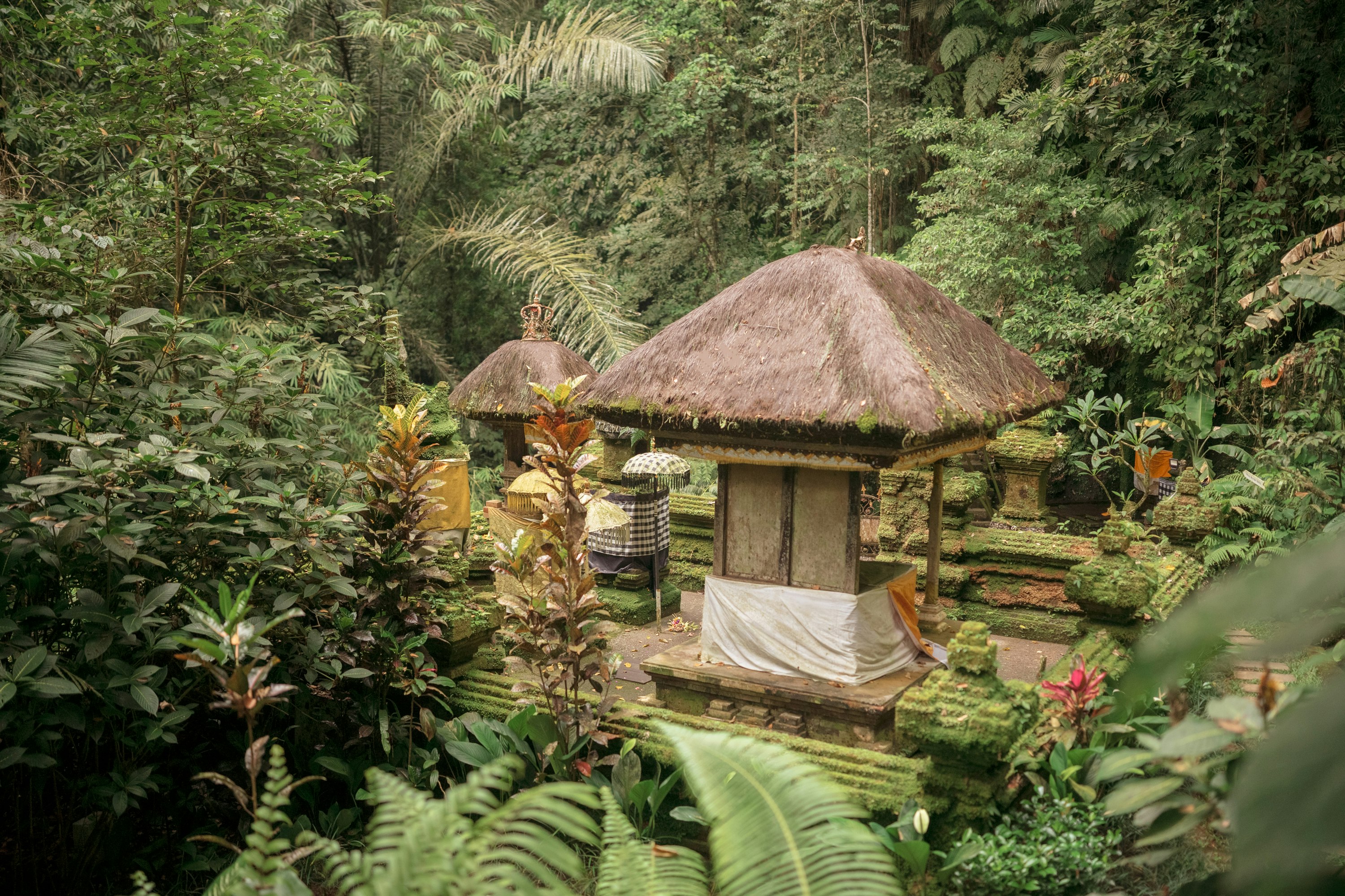 Capella Ubud Bali 39/43