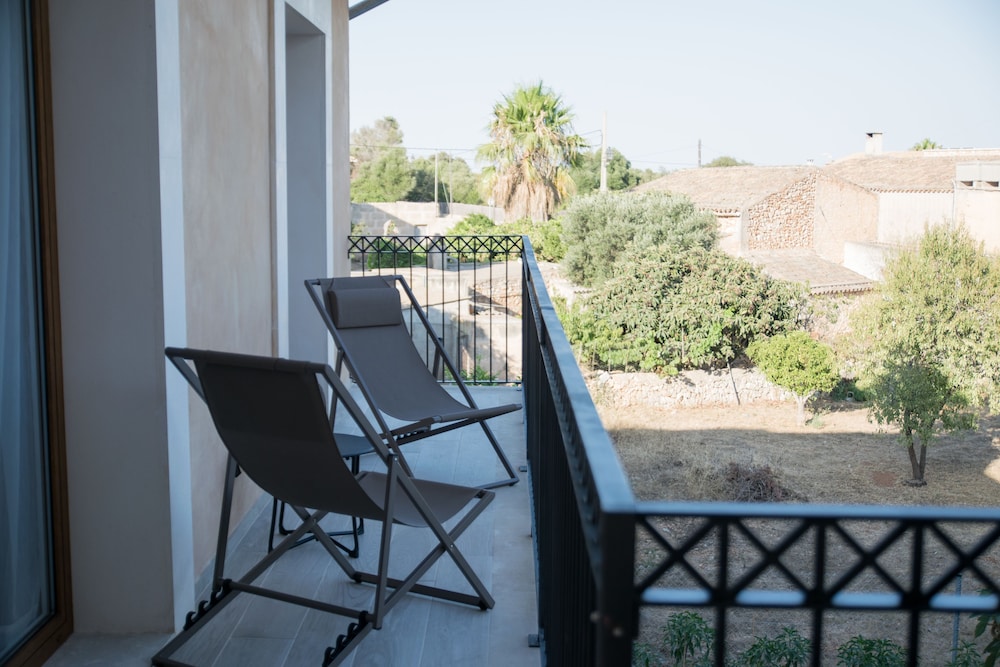 Petit Sant Miquel 22/50