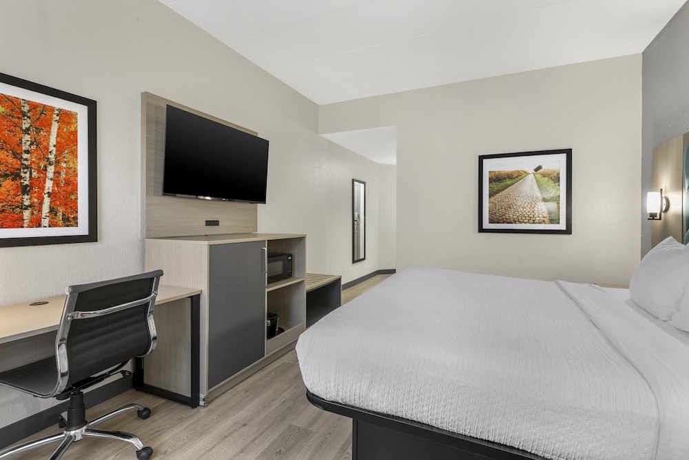 غرفة قياسية بسرير كينج لذوي الإعاقة، Best Western Eagles Inn 10/10