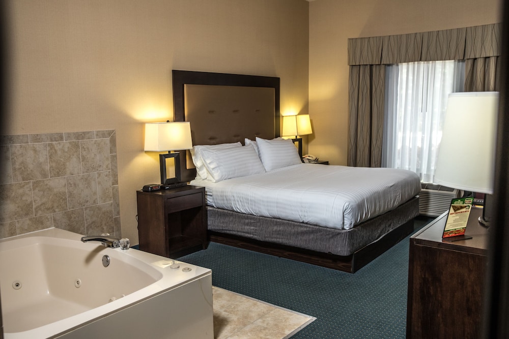 Holiday Inn Express Hotel & Suites Detroit-Novi 13/69