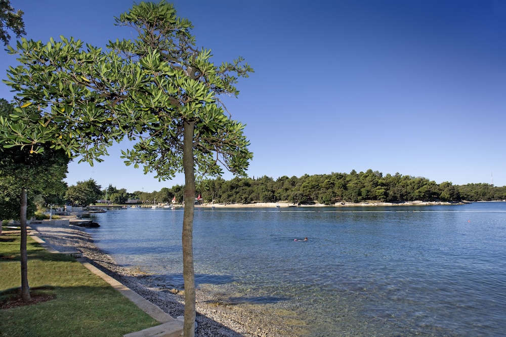 Hotel Zorna Plava Laguna 30/39