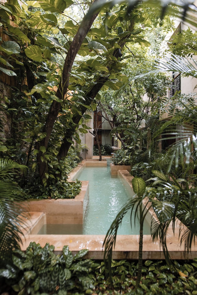 TreeHouse Boutique Hotel 39/50
